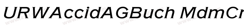 URWAccidAGBuch MdmCn字体转换